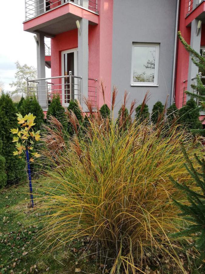 Stela Et Luna Veliko Gradište Exterior foto
