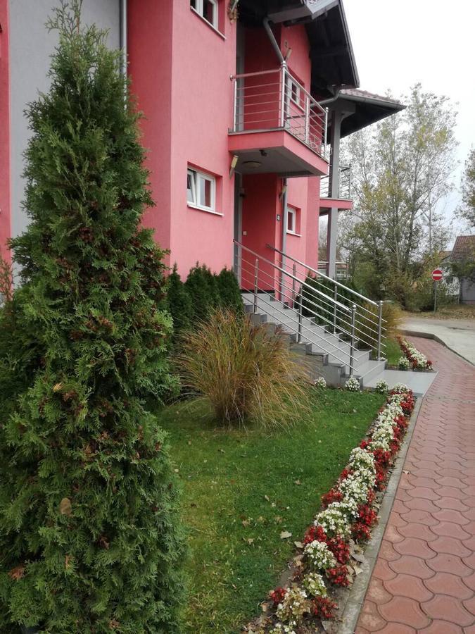 Stela Et Luna Veliko Gradište Exterior foto